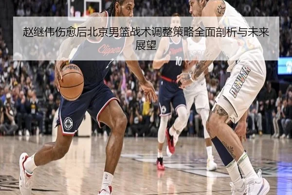 赵继伟伤愈后北京男篮战术调整策略全面剖析与未来展望
